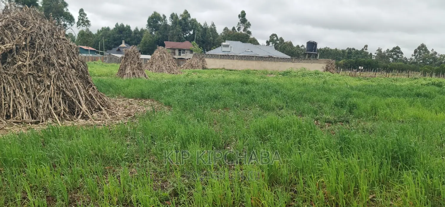 Outspan Eldoret: Plots for Sale Today in Racecourse