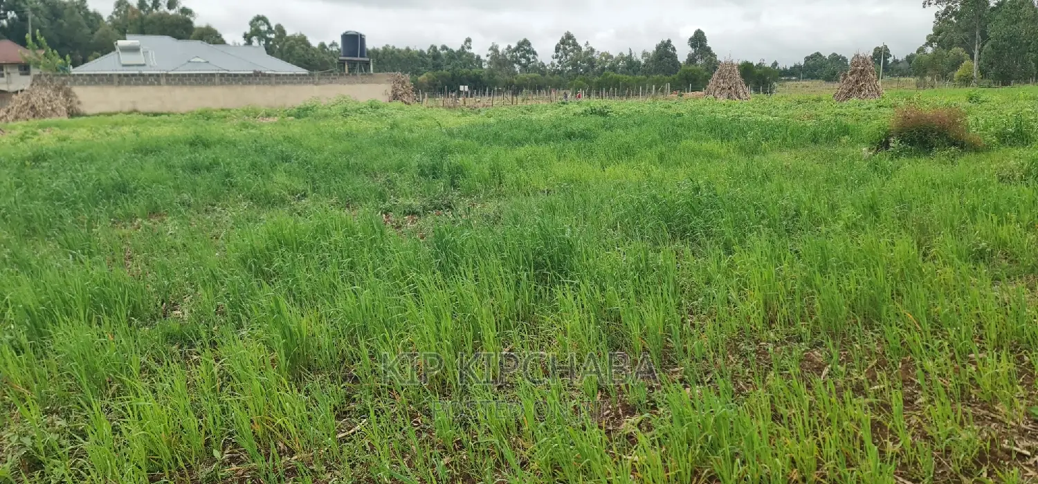Outspan Eldoret: Plots for Sale Today in Racecourse