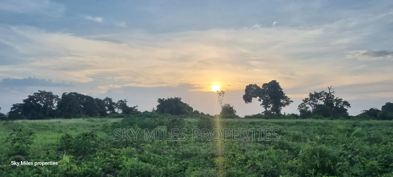 Mtwapa's 7-Acre Land with Breathtaking Creek-Beach View for Sale in Mtwapa