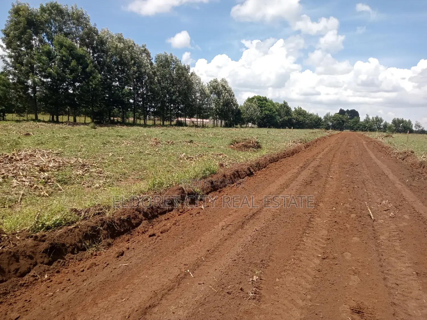 Sell Annex with Ready Titles for Each 1/4 Plot in Eldoret CBD
