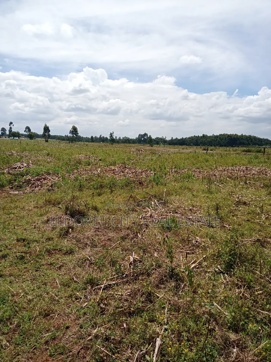 Kiambaa 1/8 Plots - Perfect for First-Time Buyers, Exclusive Offer in Eldoret CBD