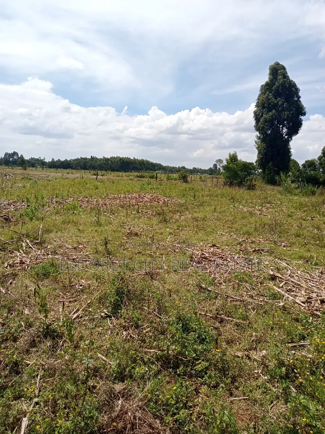 Kiambaa 1/8 Plots - Perfect for First-Time Buyers, Exclusive Offer in Eldoret CBD