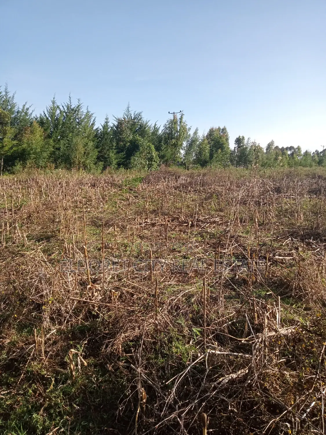 10-Acre Land Title in Outspan: Ideal for Development in Eldoret CBD