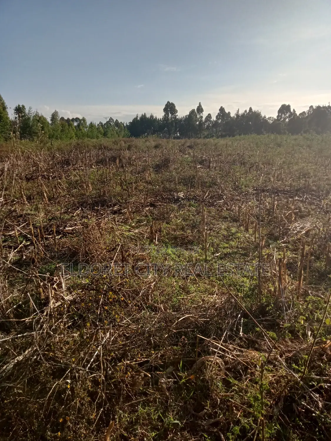 10-Acre Land Title in Outspan: Ideal for Development in Eldoret CBD