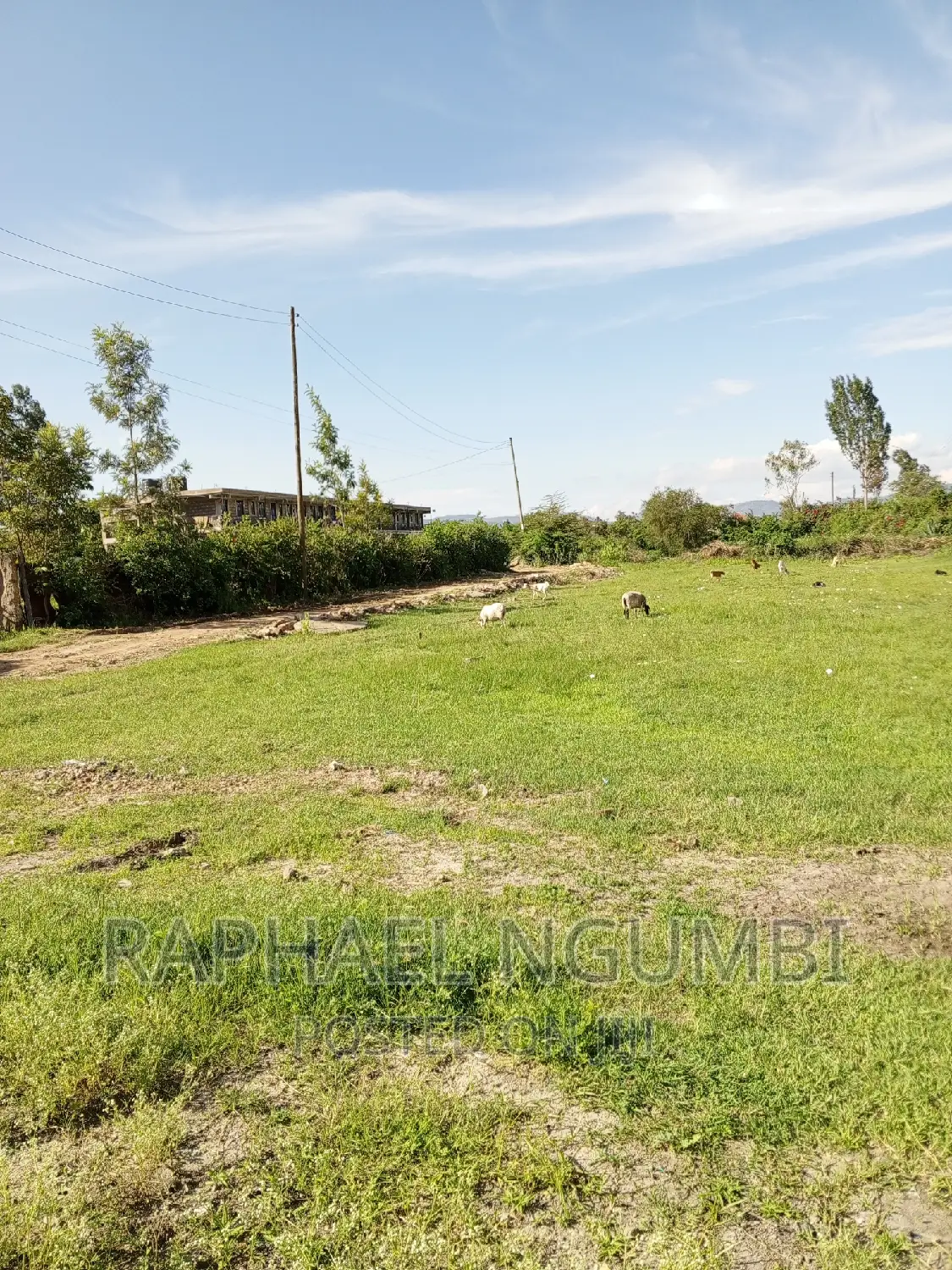 50*100 Plots in Machakos, Kenya Israel - Limited to 3 Available in Machakos Town
