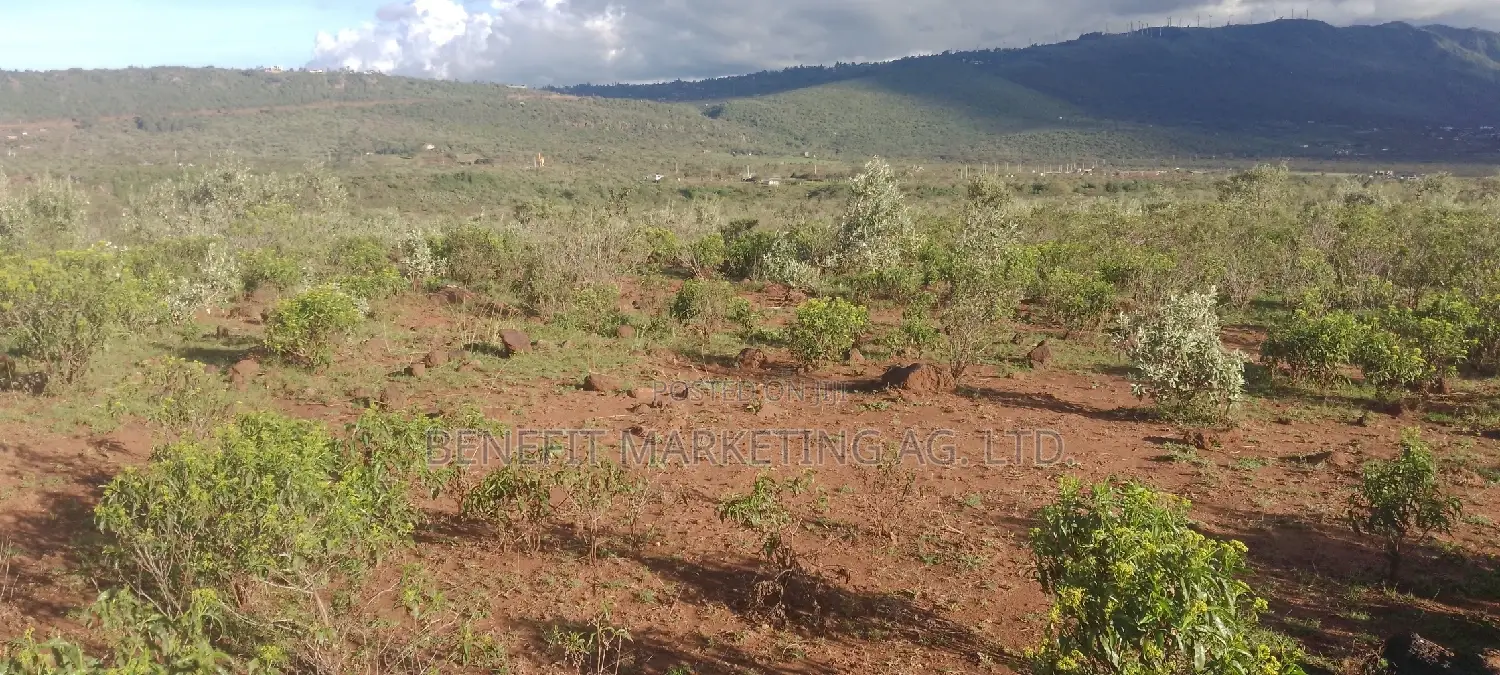 Spacious Plots Available in Ngong Kimuka: Ideal for Investment or Residential Purposes in Ngong