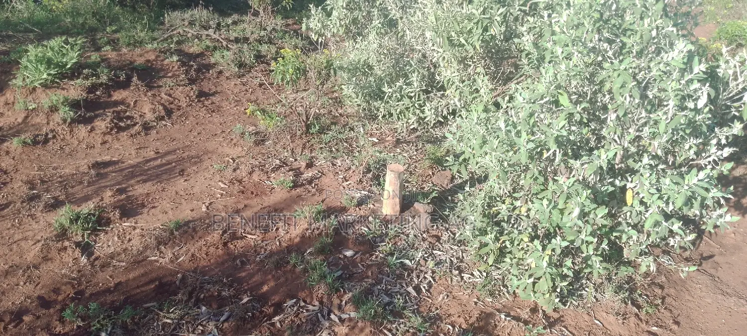 Spacious Plots Available in Ngong Kimuka: Ideal for Investment or Residential Purposes in Ngong