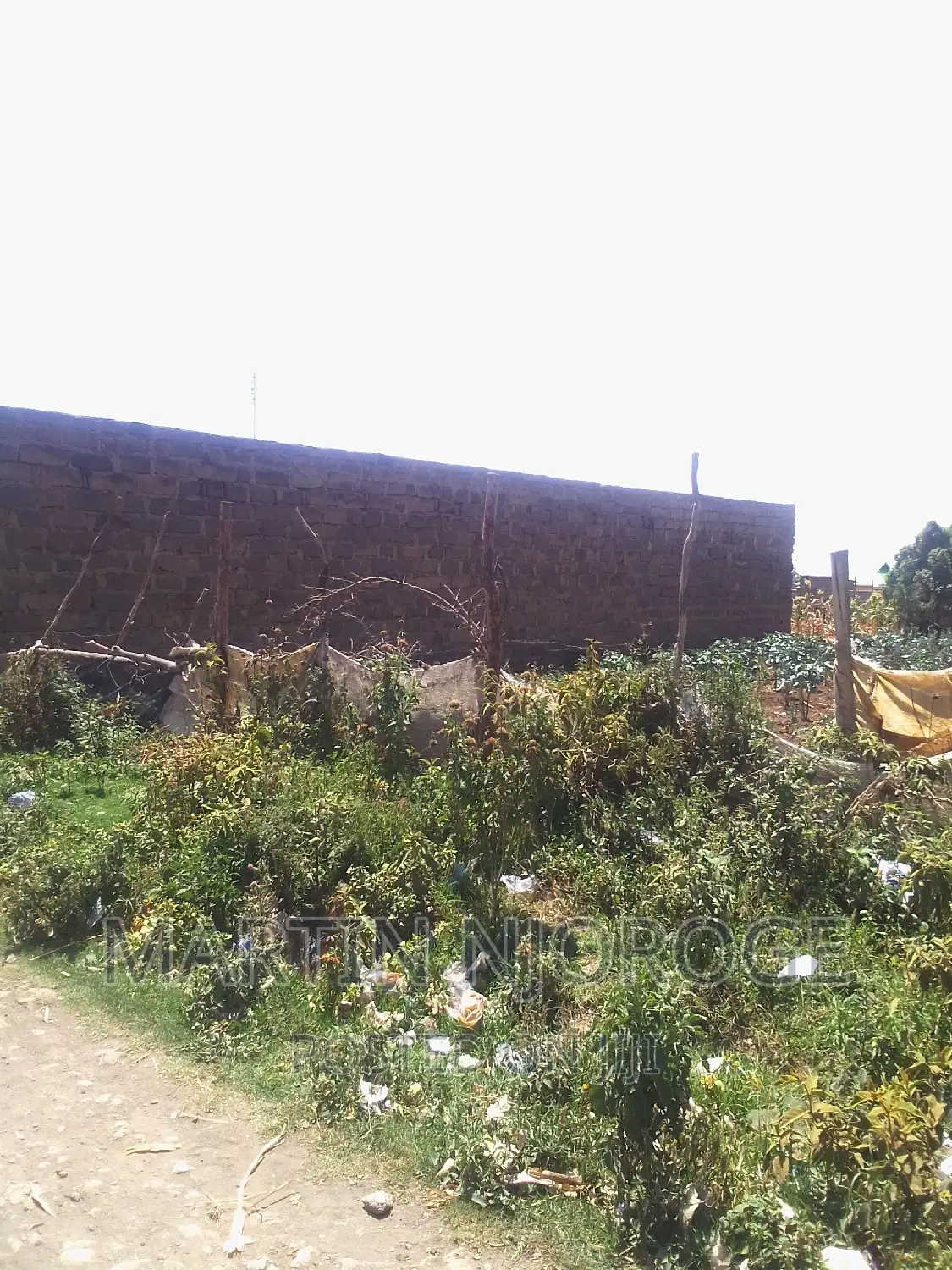 50 by 100 Nyamathi ( Nyakakairu Center) in Naivasha East