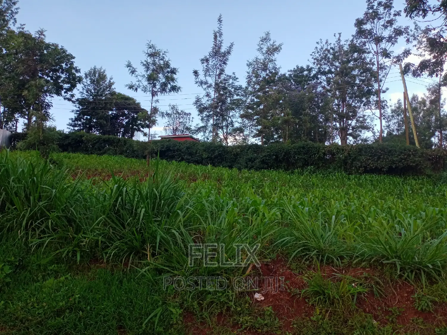 Nyeri Town Commercial 50/100 Plot on Sale in Nyeri Town