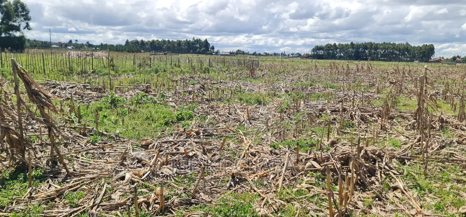 Kapseret, Eldoret: 2-Acre Land for Sale at a Reasonable Price in Kapseret