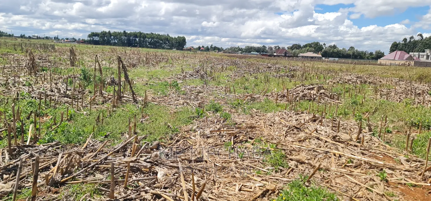 Kapseret, Eldoret: 2-Acre Land for Sale at a Reasonable Price in Kapseret