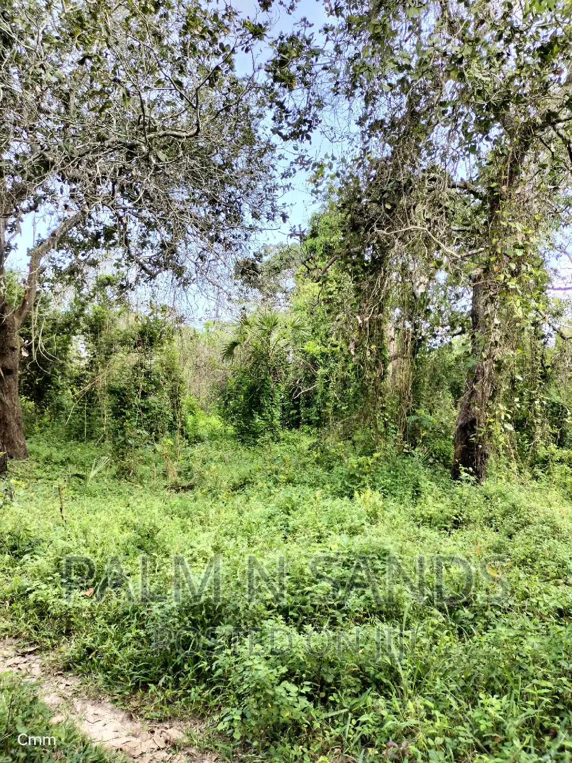 Shimbahills - 28 Acre Farmland Up for Sale in Kubo South