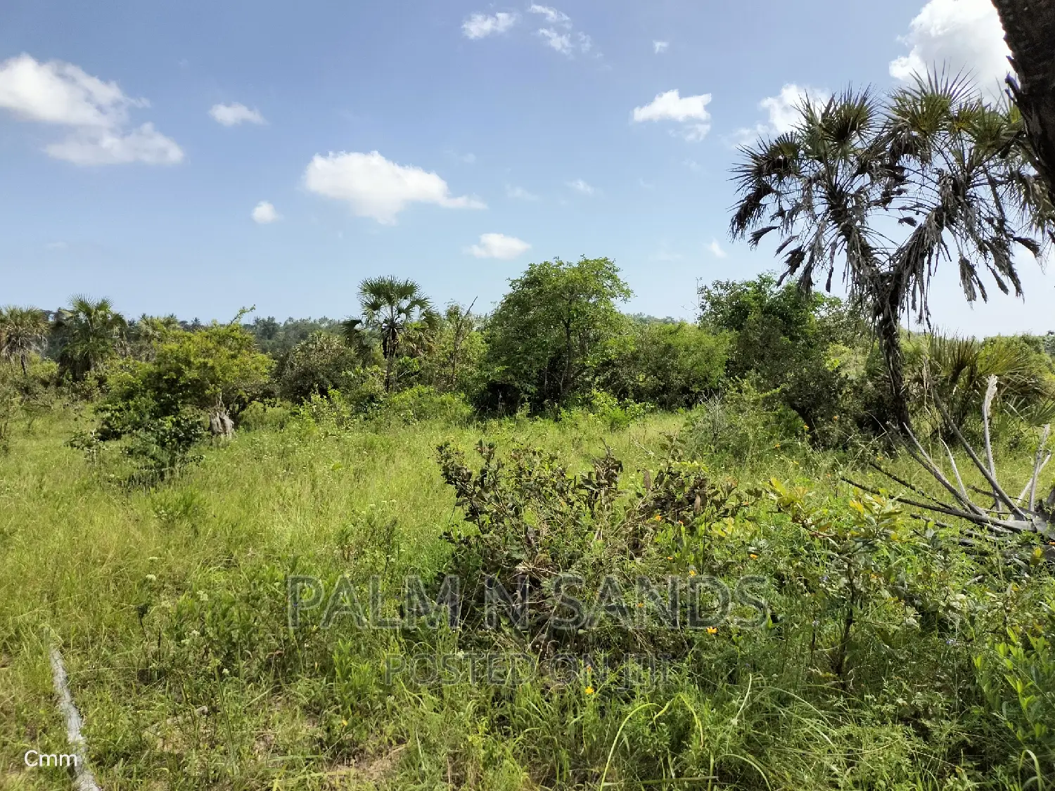 Shimbahills - 28 Acre Farmland Up for Sale in Kubo South