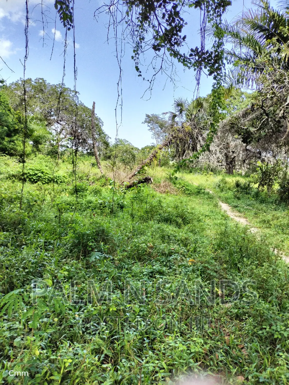 Shimbahills - 28 Acre Farmland Up for Sale in Kubo South