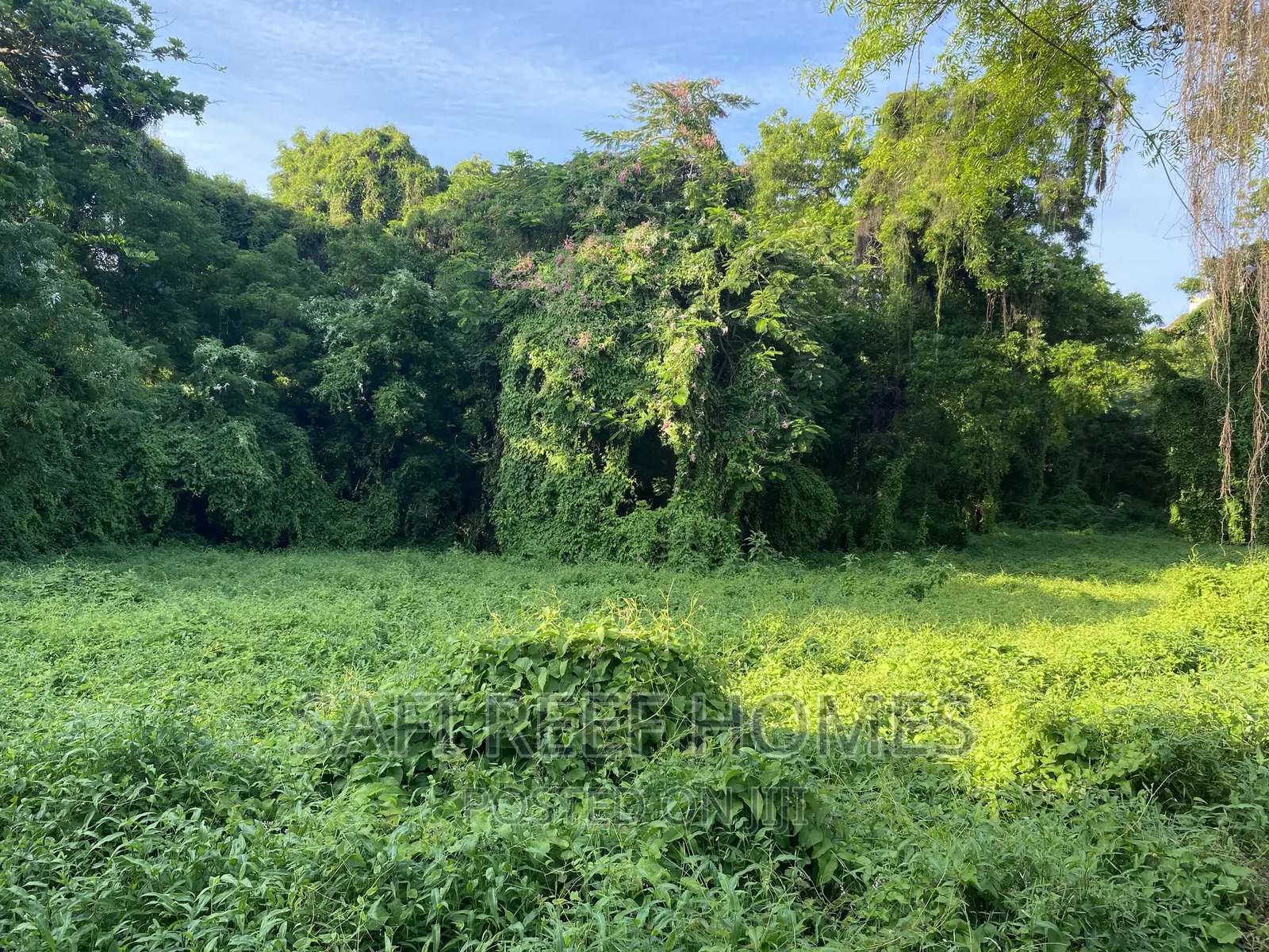 1 Acre Land Available in Nyali Greenwood: Perfect for Your Next Project in Nyali