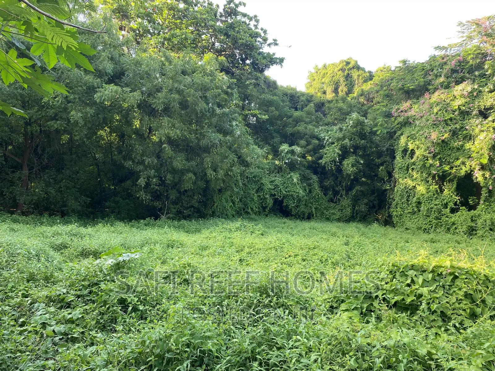 1 Acre Land Available in Nyali Greenwood: Perfect for Your Next Project in Nyali