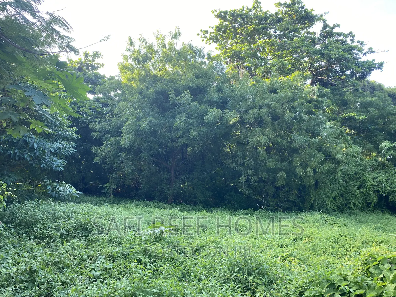 1 Acre Land Available in Nyali Greenwood: Perfect for Your Next Project in Nyali