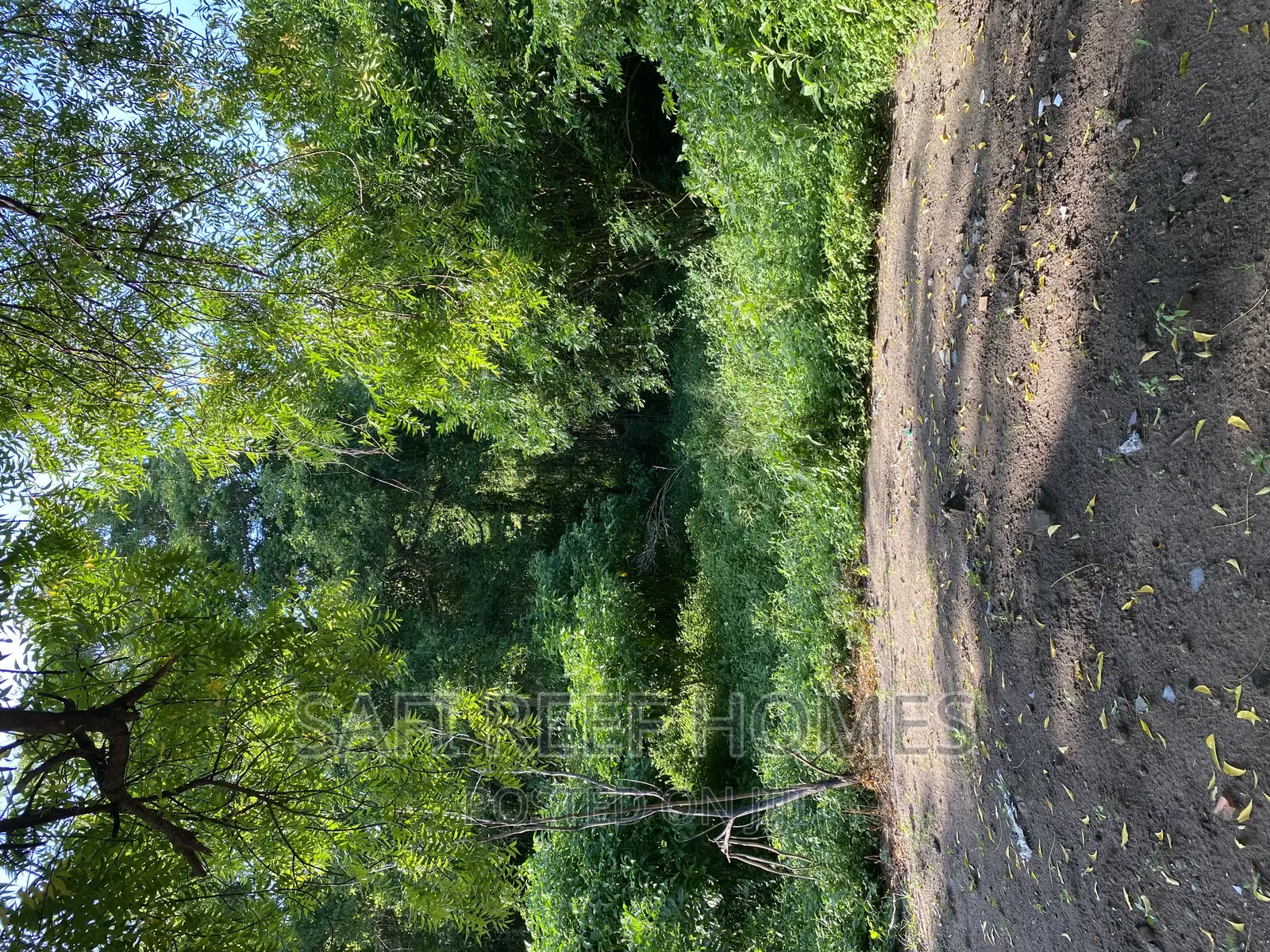 1 Acre Land Available in Nyali Greenwood: Perfect for Your Next Project in Nyali