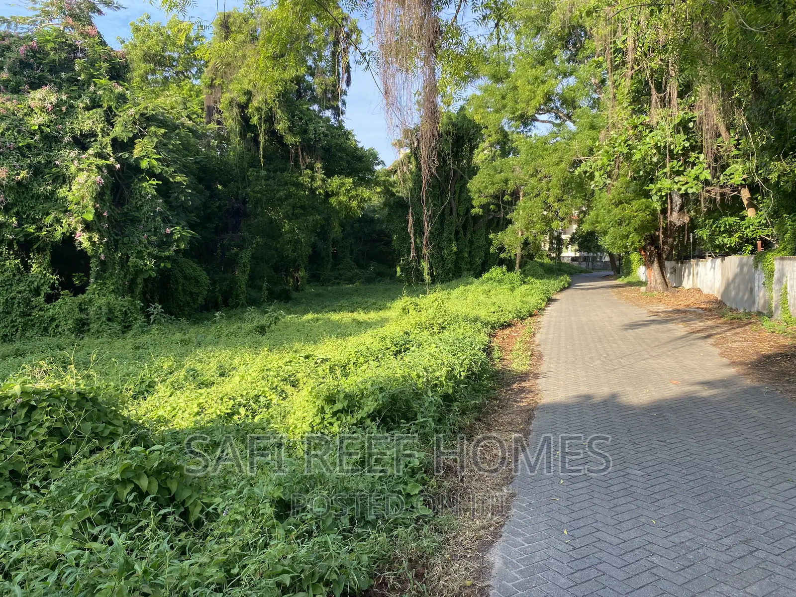 1 Acre Land Available in Nyali Greenwood: Perfect for Your Next Project in Nyali