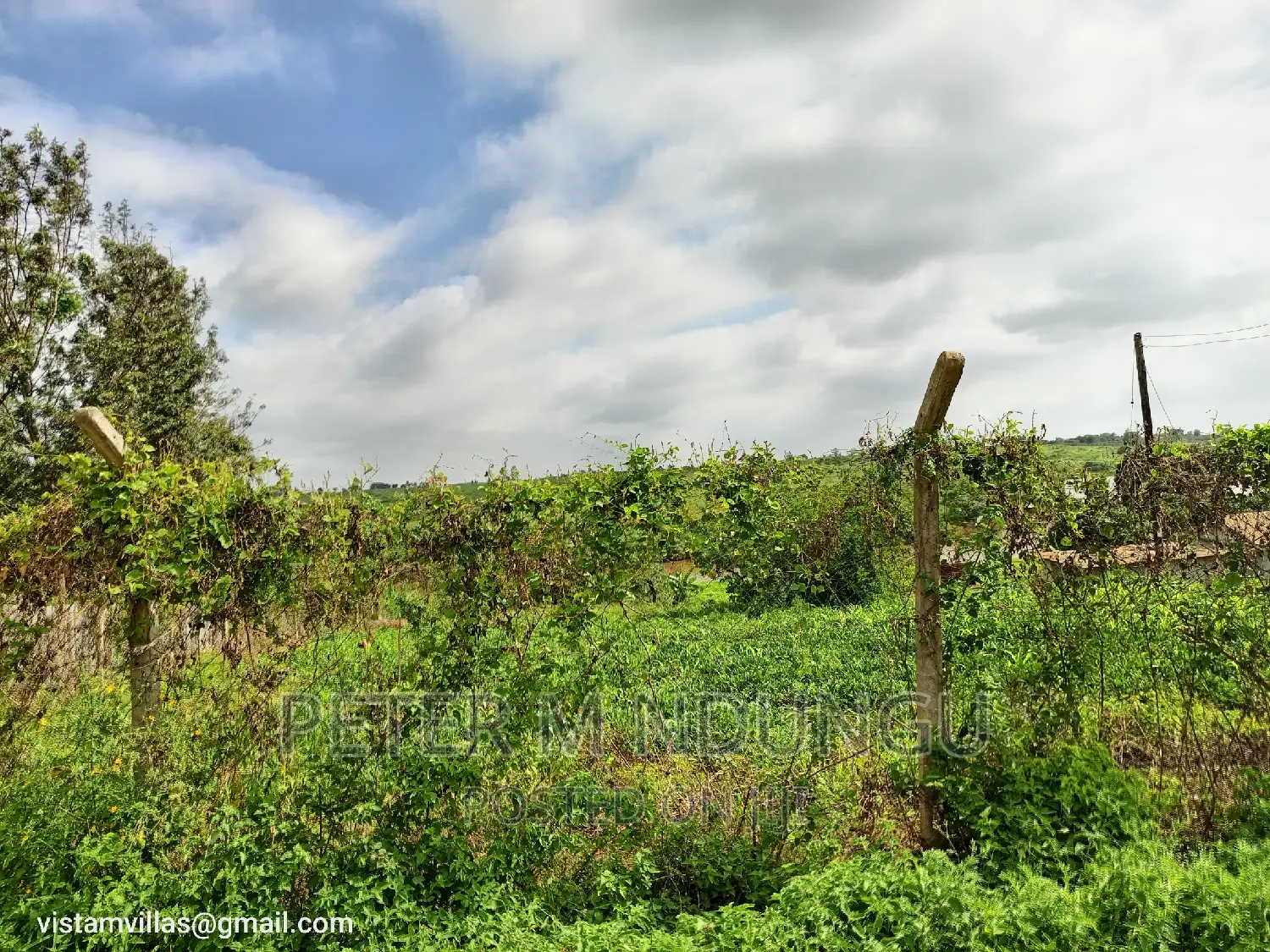 Spacious Plot on Kiganjo Road, Ruiru - Ideal for Your Dream Home or Business in Kiambu / Kiambu 