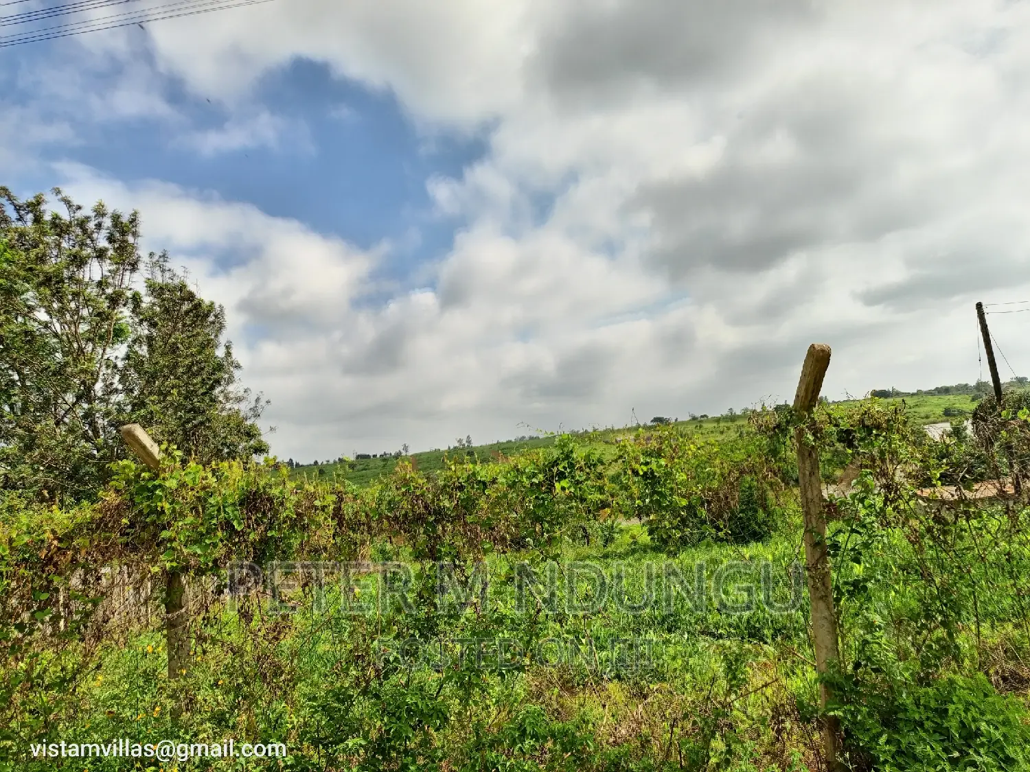 Spacious Plot on Kiganjo Road, Ruiru - Ideal for Your Dream Home or Business in Kiambu / Kiambu 