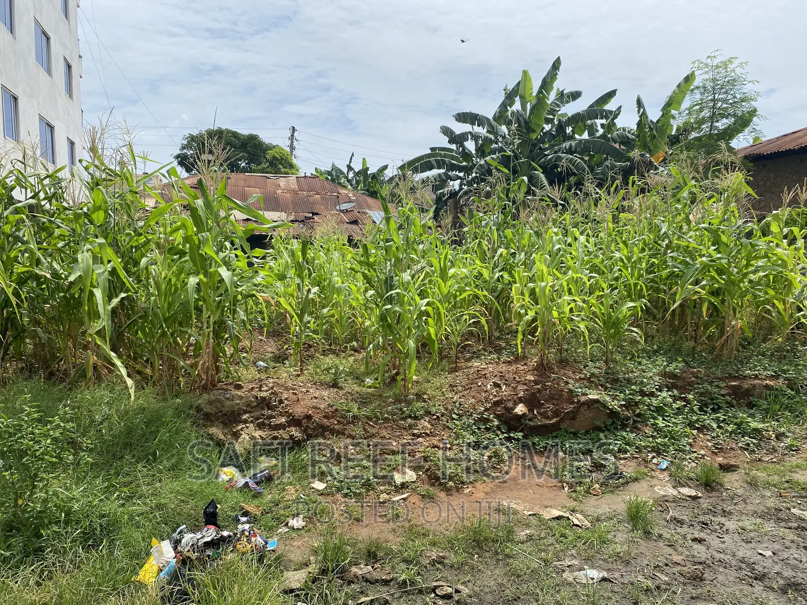 Title Deed Kongowea Land Plot - 40ft x 70ft for Sale in Nyali