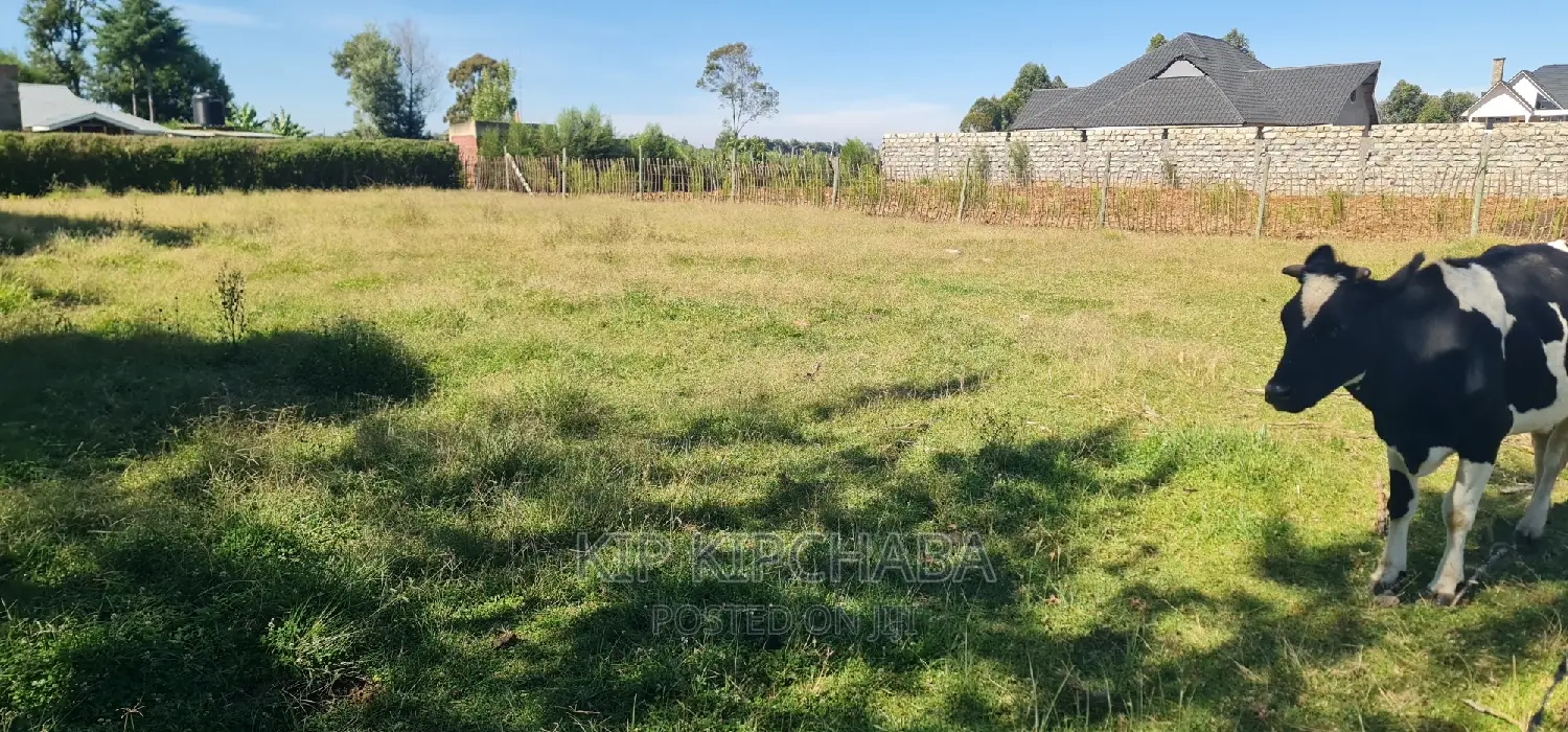 1/4-acre Land Plot in Llula Eldoret, Real Estate Opportunity in Illula