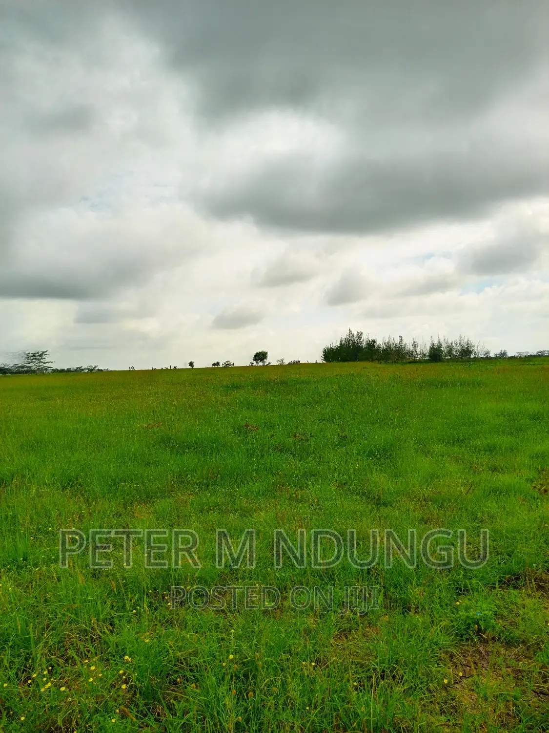 10-acre Prime Land in Shorinke - Your Next Big Opportunity Awaits! in Kitengela