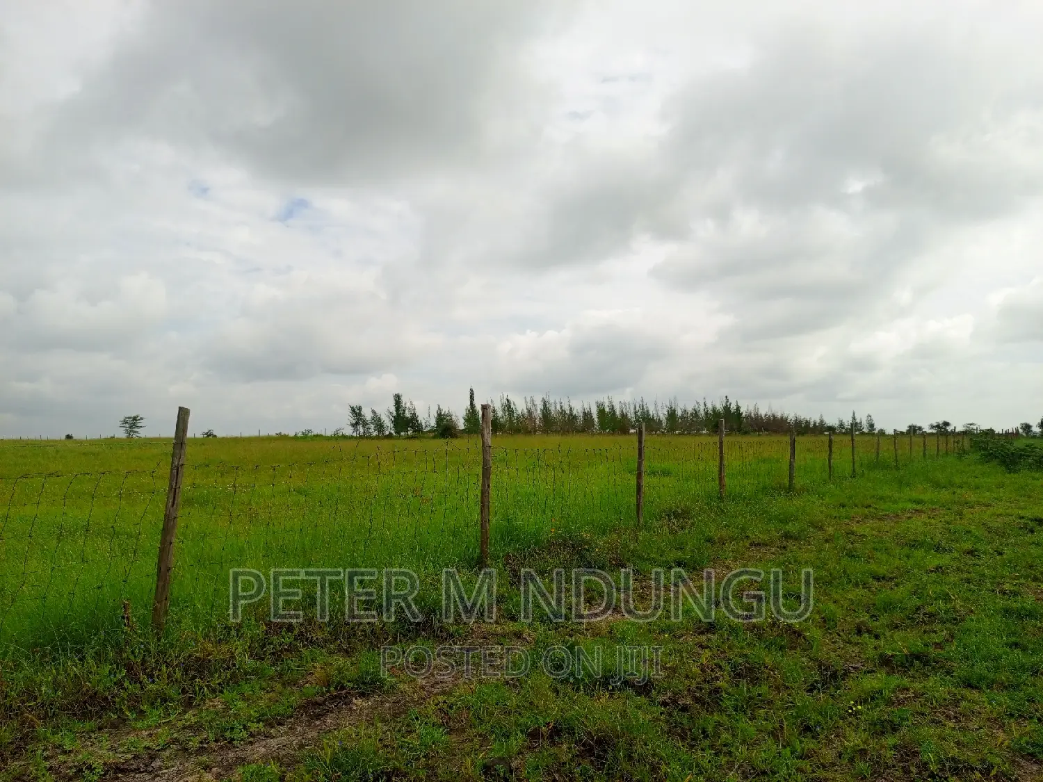 10-acre Prime Land in Shorinke - Your Next Big Opportunity Awaits! in Kitengela