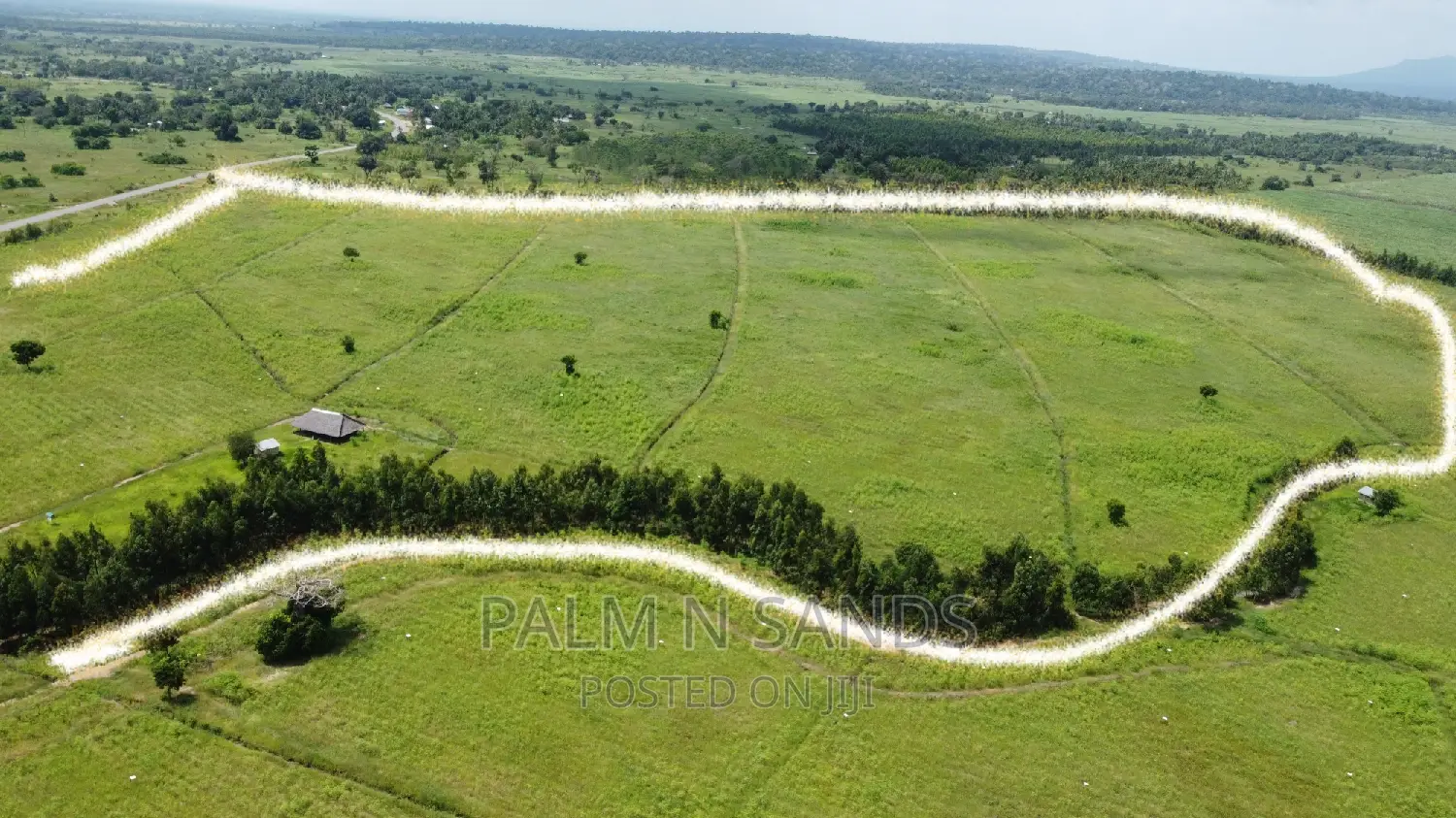 214-Acre Farmland for Sale in Majoreni: Your Dream Farm Awaits! in Vanga