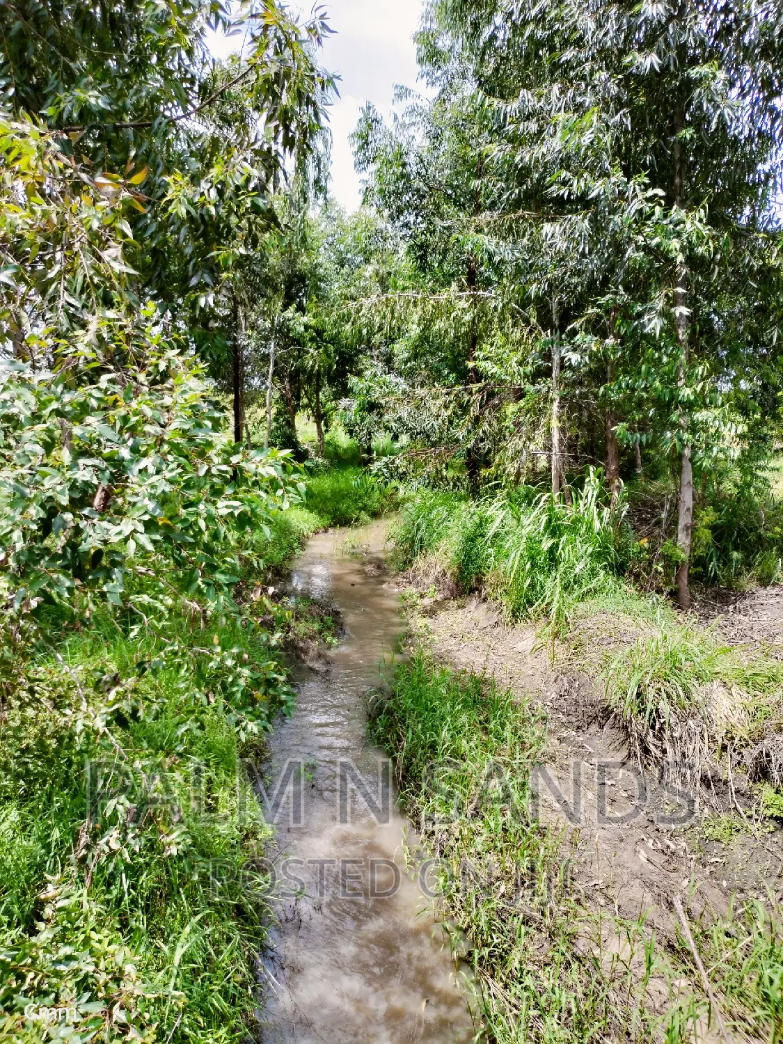 214-Acre Farmland for Sale in Majoreni: Your Dream Farm Awaits! in Vanga