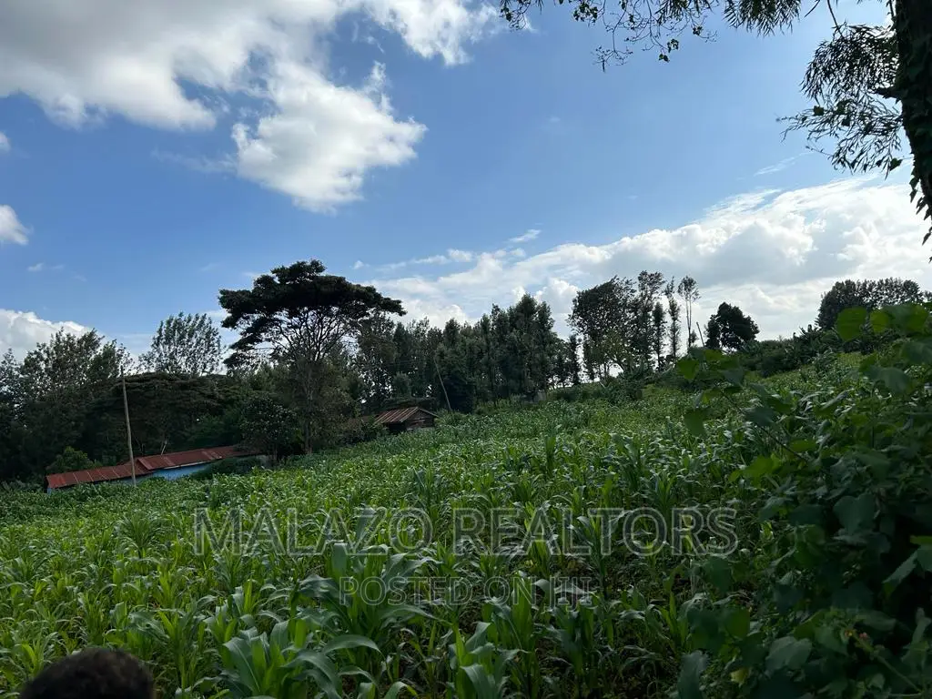 1-Acre Plot in Sought-After Muchata Town - Invest, Develop, Succeed! in Muchatha