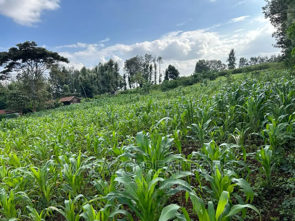 1-Acre Plot in Sought-After Muchata Town - Invest, Develop, Succeed! in Muchatha