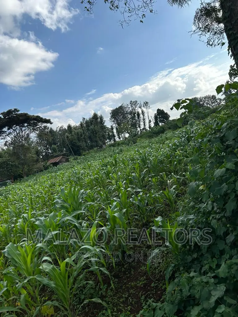 1-Acre Plot in Sought-After Muchata Town - Invest, Develop, Succeed! in Muchatha