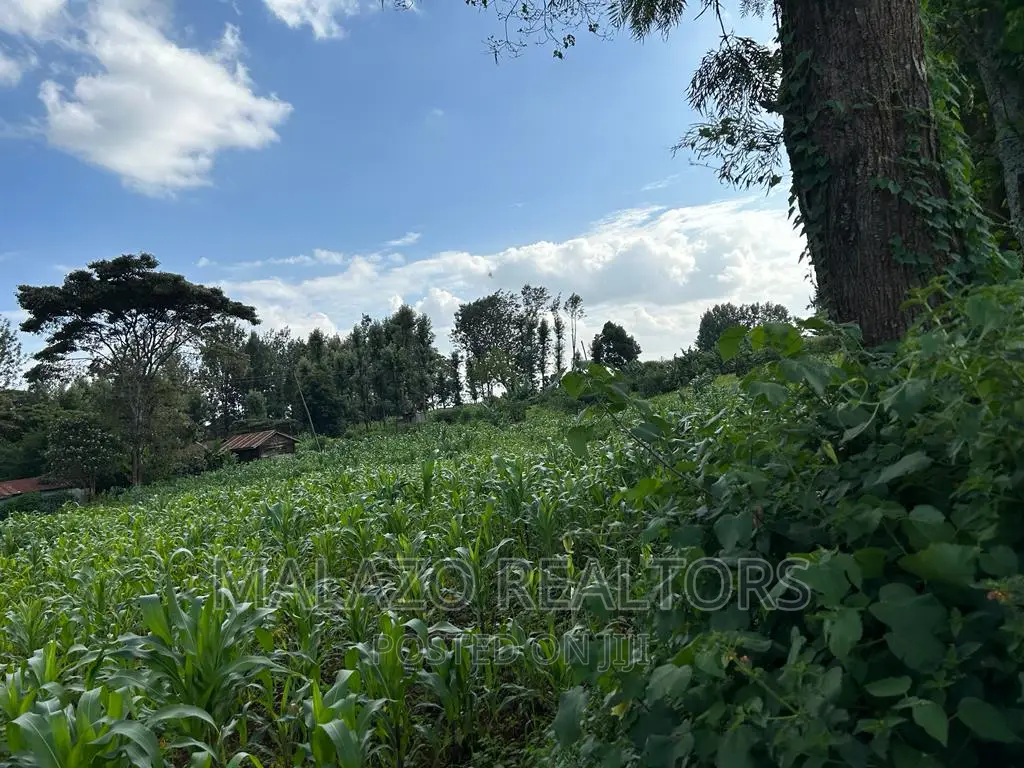 1-Acre Plot in Sought-After Muchata Town - Invest, Develop, Succeed! in Muchatha