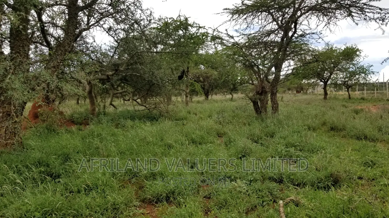 Kajiado Town Land Plots - Discover Your Perfect Plot Today in Kajiado CBD