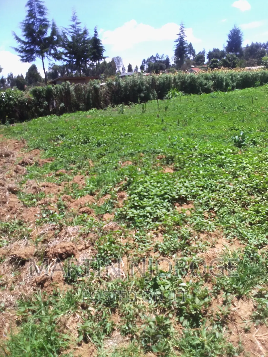 1⁄2 Acre Ndunyu Njeru in Engineer