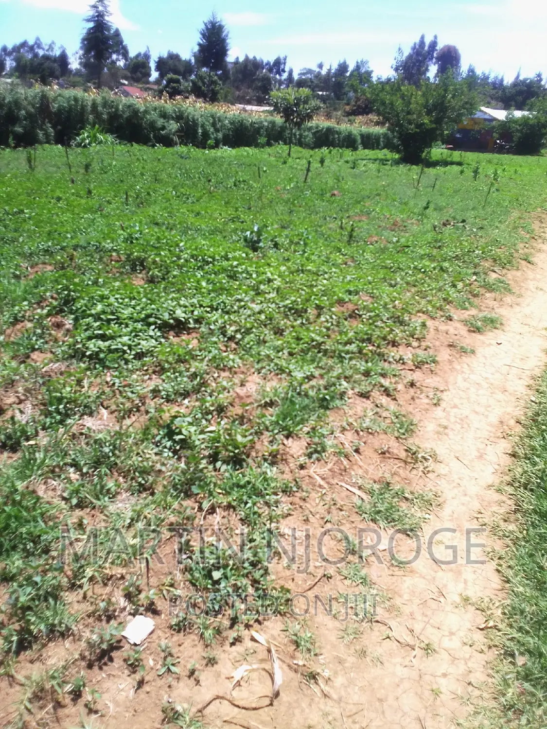 1⁄2 Acre Ndunyu Njeru in Engineer
