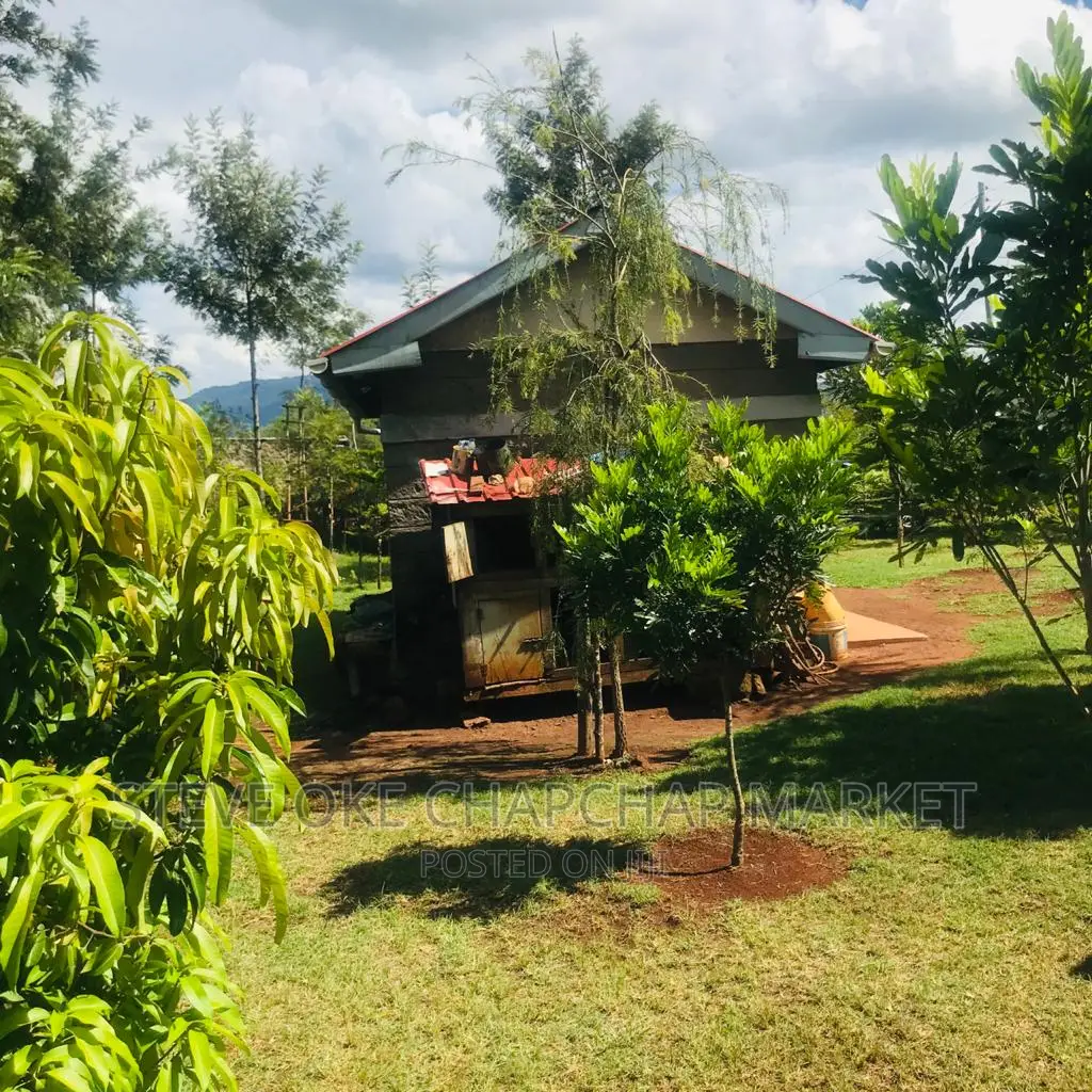 One-Acre Property with 3-Bedroom House and Clear Title in Thika