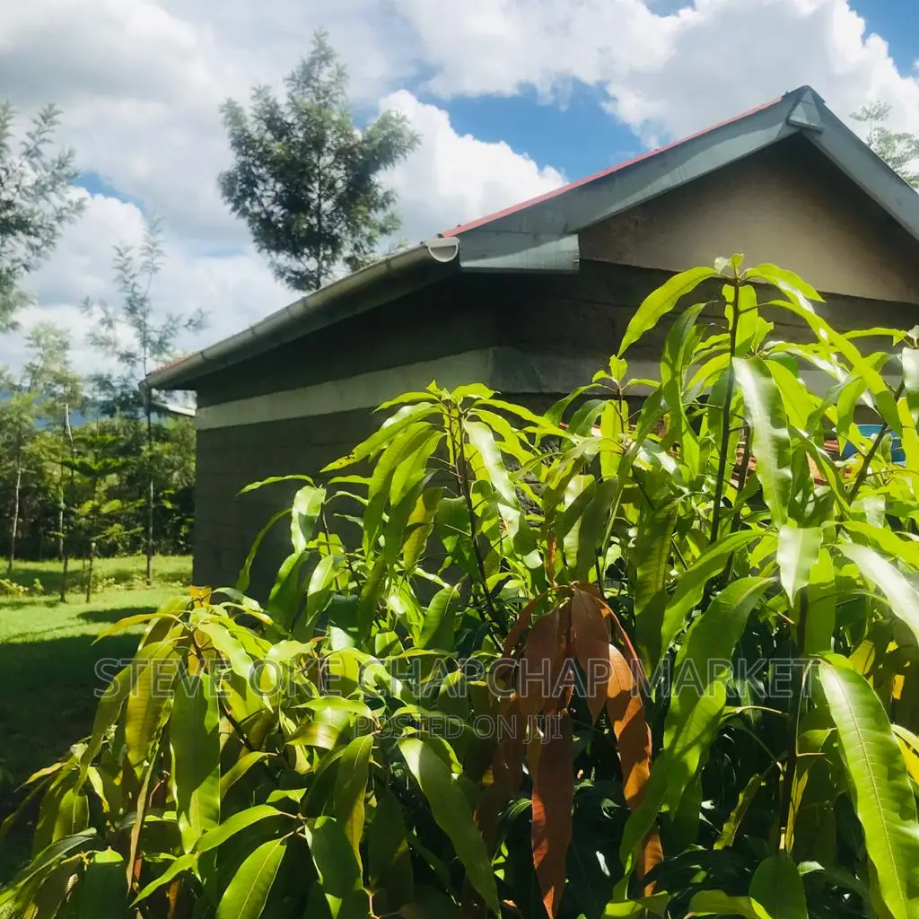 One-Acre Property with 3-Bedroom House and Clear Title in Thika