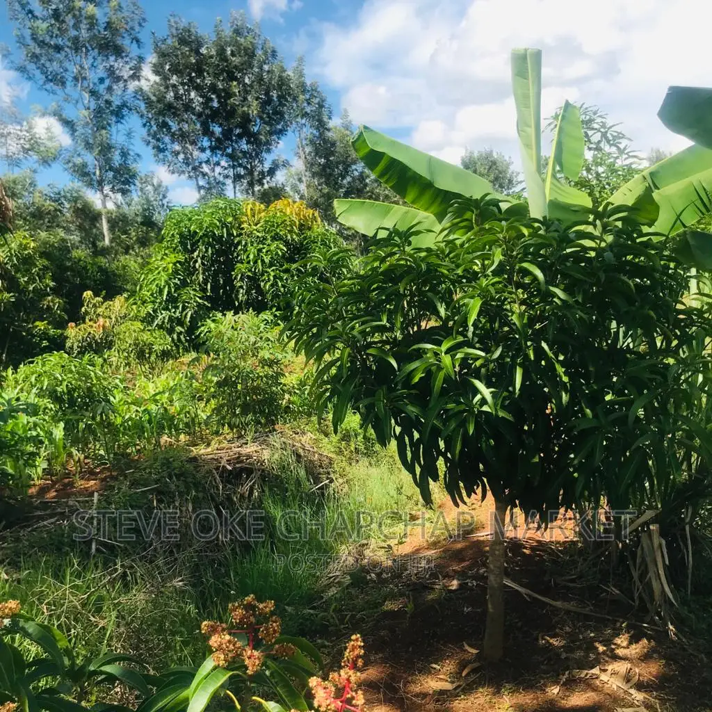 One-Acre Property with 3-Bedroom House and Clear Title in Thika
