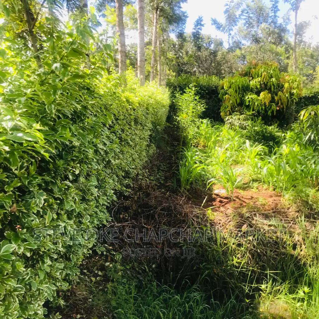 One-Acre Property with 3-Bedroom House and Clear Title in Thika