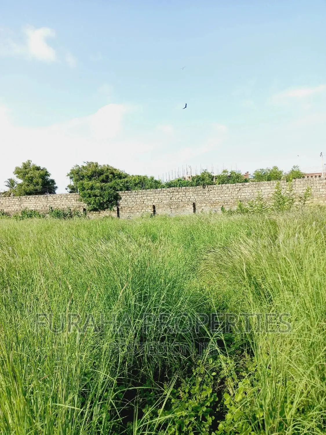 Half Acre, Nyali: Prime Land Investment Opportunity in Nyali