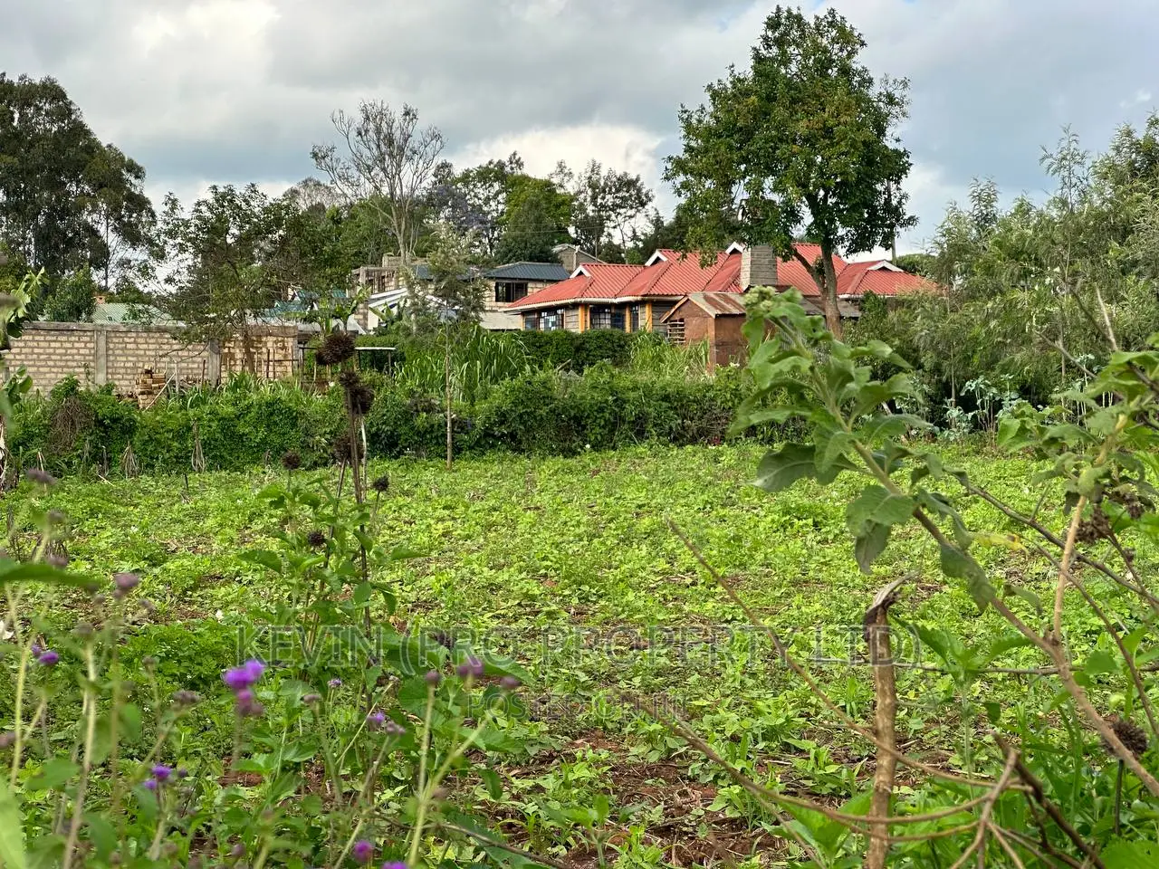 Affordable 1/4 Acre Plot in Thigio-Kikuyu: For Sale in Kikuyu