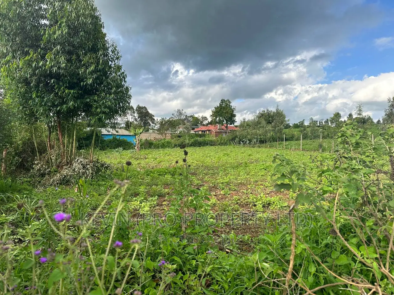 Affordable 1/4 Acre Plot in Thigio-Kikuyu: For Sale in Kikuyu