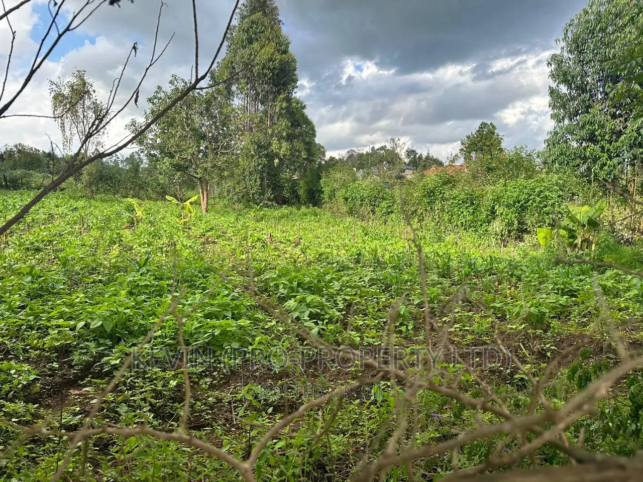 Affordable 1/4 Acre Plot in Thigio-Kikuyu: For Sale in Kikuyu