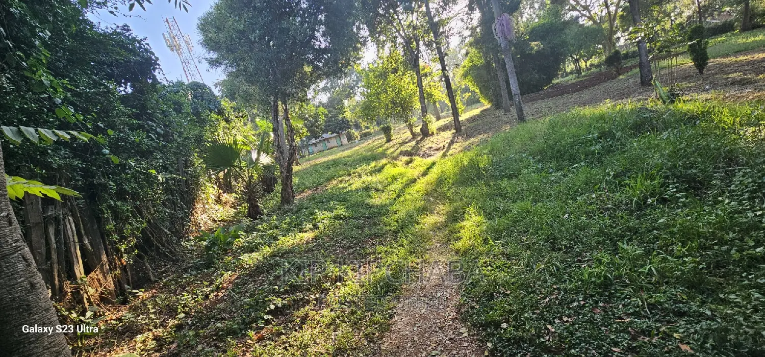 Spacious 1/2 Acre Land Available for Sale in Elgonview Eldoret in Elgon View