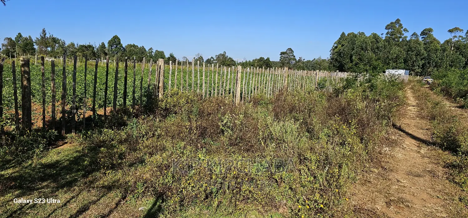 Buy a 1/4 Acre Plot in Royalton Annex, Eldoret Today in Racecourse