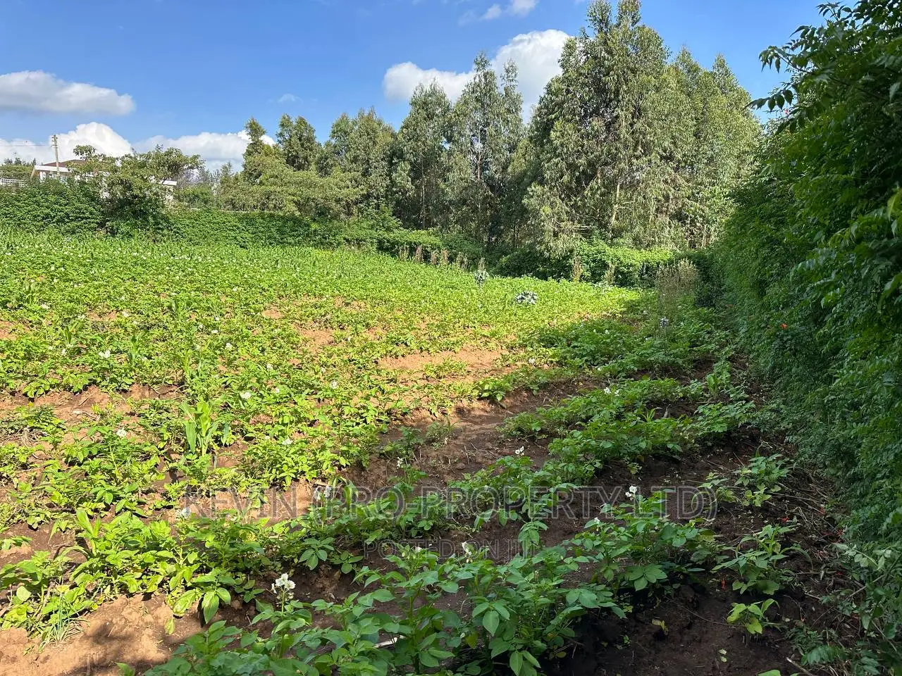 Kamang, Kikuyu: Sell Prime Residential Plot - Build Your Dream Home Today in Kikuyu