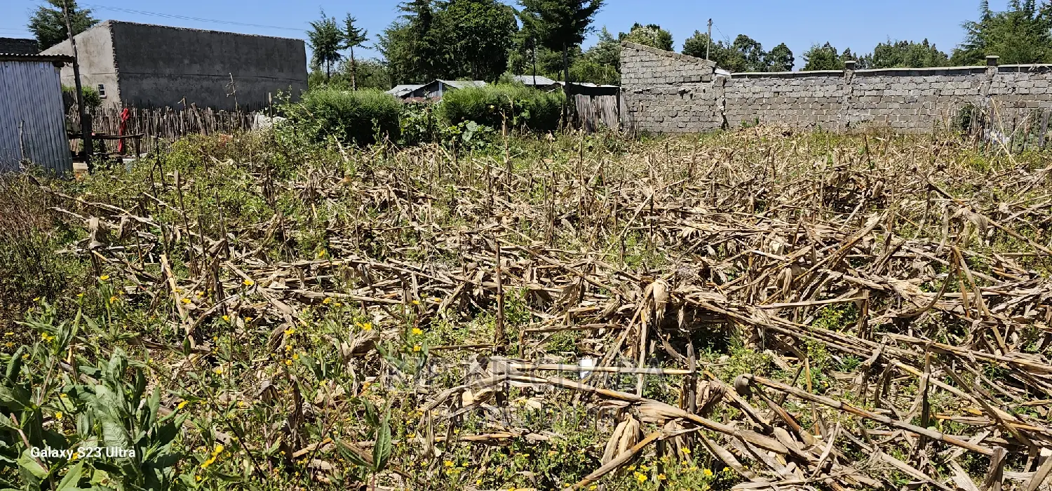 Plot Sale in Chepkanga Eldoret: 2 Acres Waiting for You in Kimumu